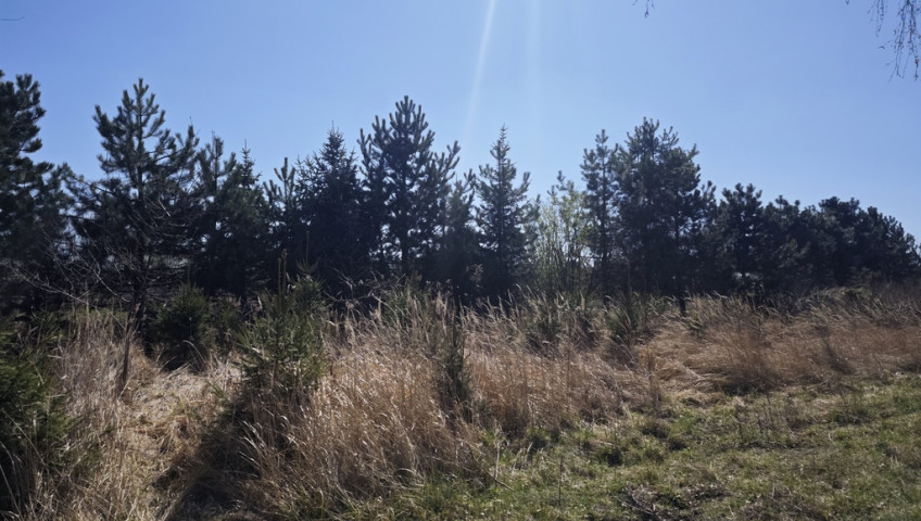 Działka Sprzedaż Wyględy